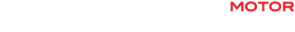 Morrisonotor Group Logo White